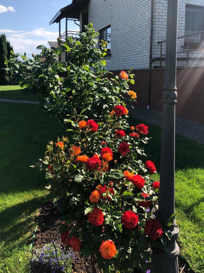 Arvydo Gylio Sodyba Ignalina Eksteriør billede